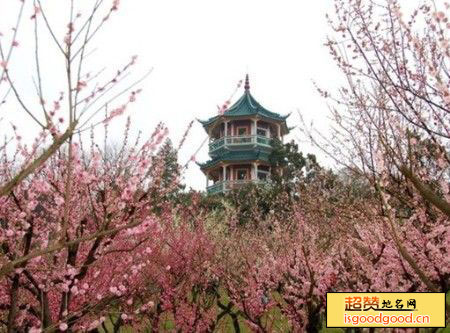 横山风景区