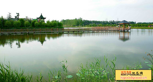 毛集农民公园