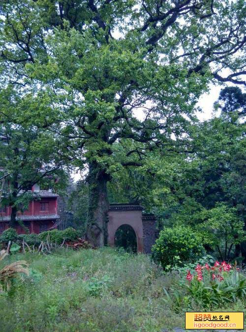 庐山海会寺