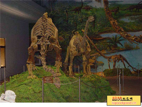 山旺古生物化石博物馆