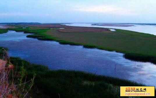 黄河湿地国家级自然保护区
