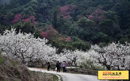 御景峰国家森林公园