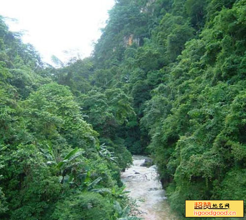 绿水河热带雨林度假区