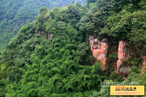 老君山自然保护区
