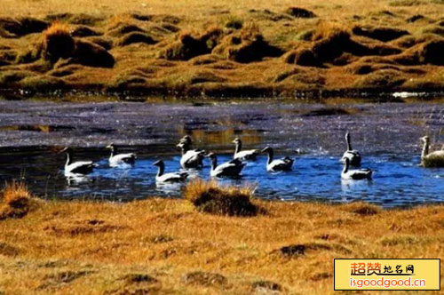 西藏琼结琼果国家湿地公园