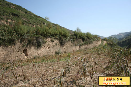 曹家山遗址