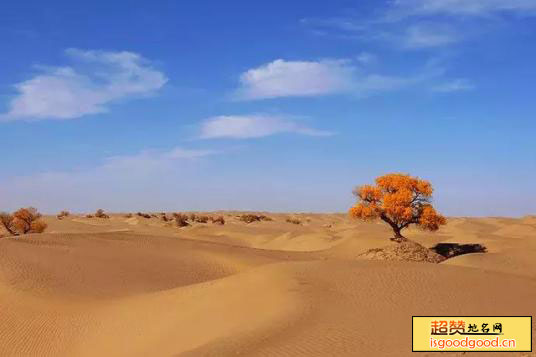 马路滩沙漠生态旅游区