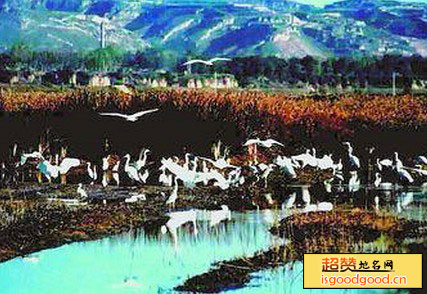 小苏干湖自然保护区