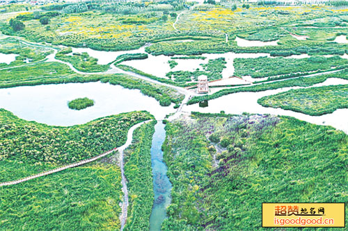 兰州秦王川国家湿地公园