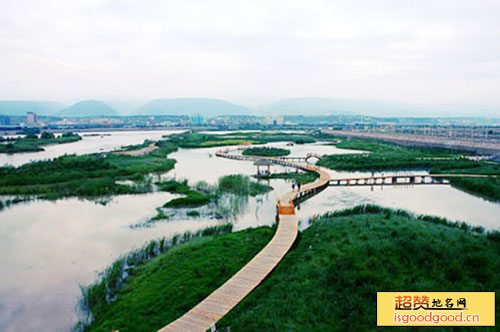 兰州银滩湿地公园