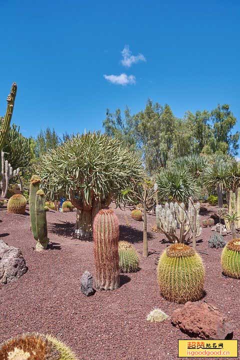 沙漠植物风情园