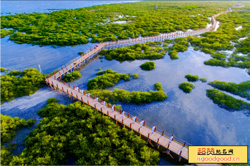 北海金海湾红树林生态旅游区