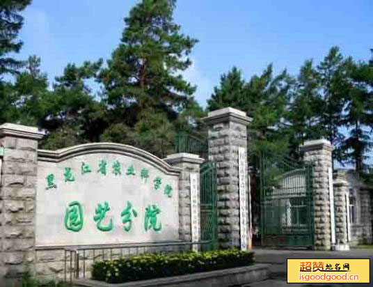 黑龙江省农科院园艺分院