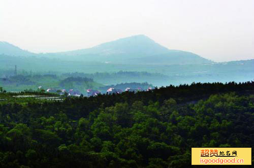 茶山园艺旅游区