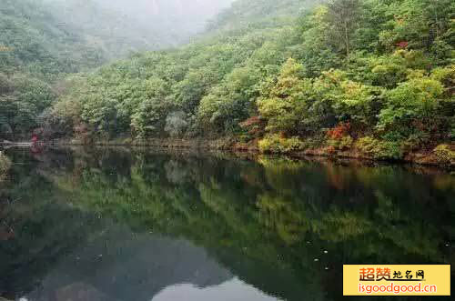 西平省级森林公园